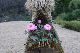 image0141