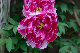 image0142