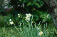 image0148