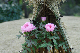 image0149