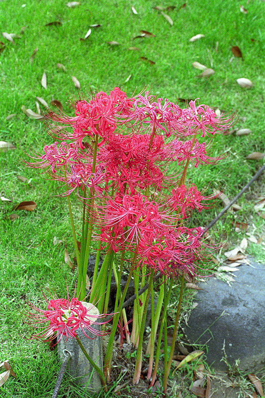 image0005