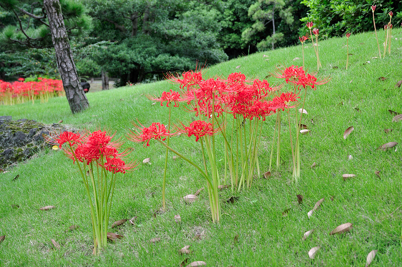 image0096