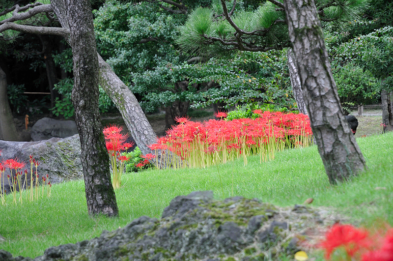 image0097
