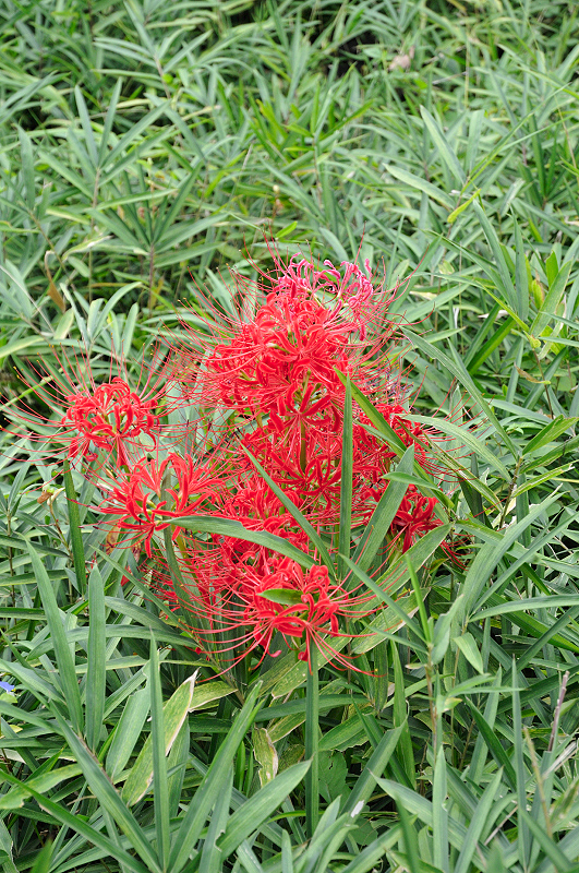 image0100