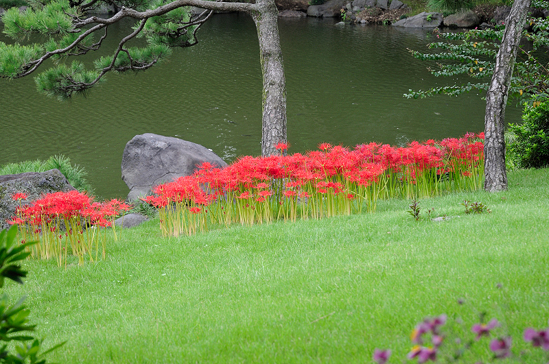 image0101