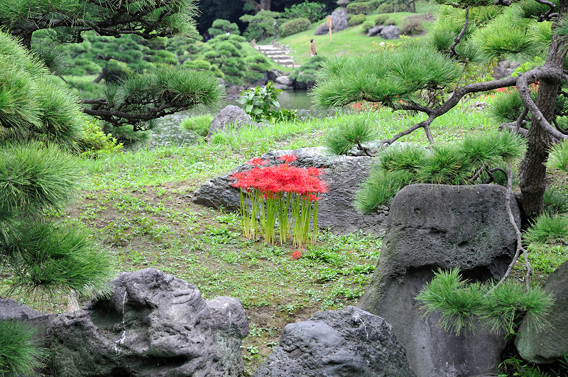 image0102