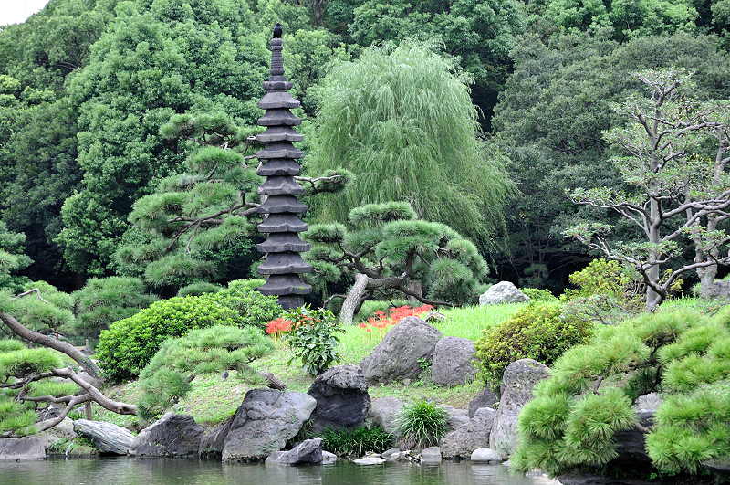 image0104