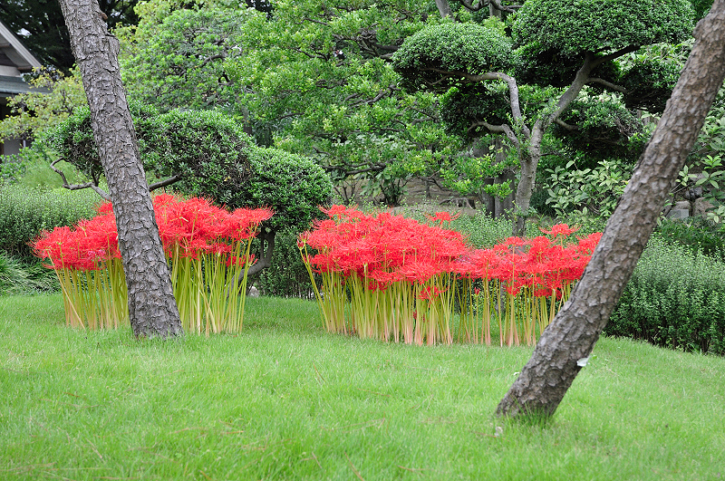 image0106