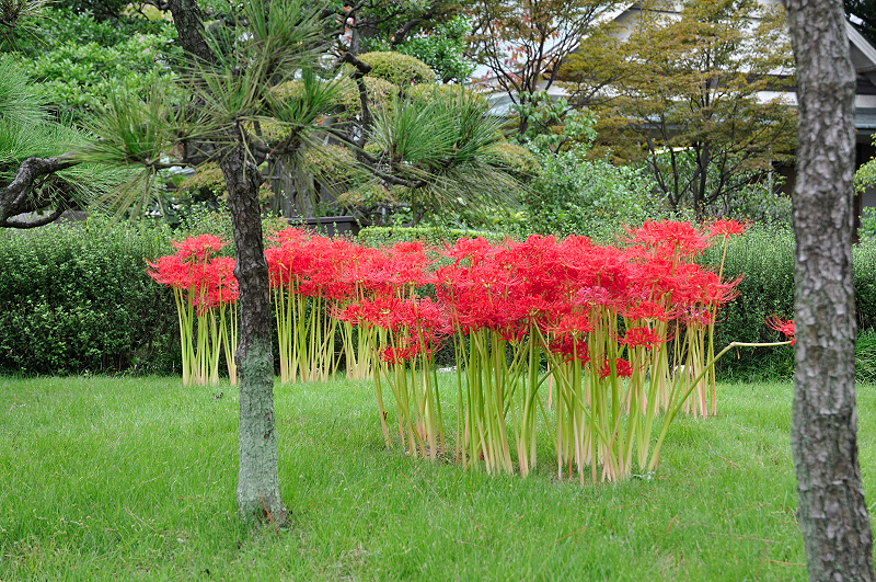 image0107