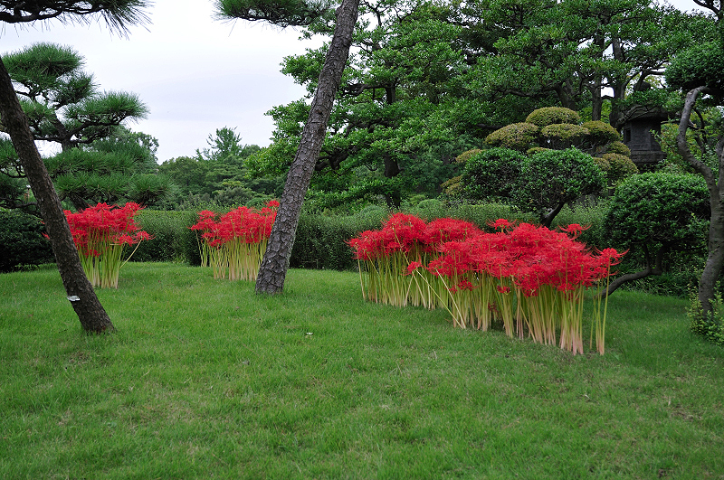 image0108