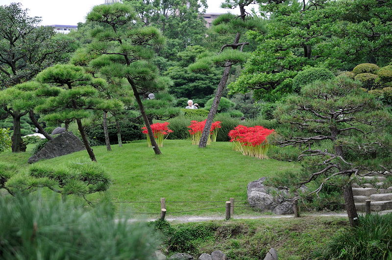 image0109