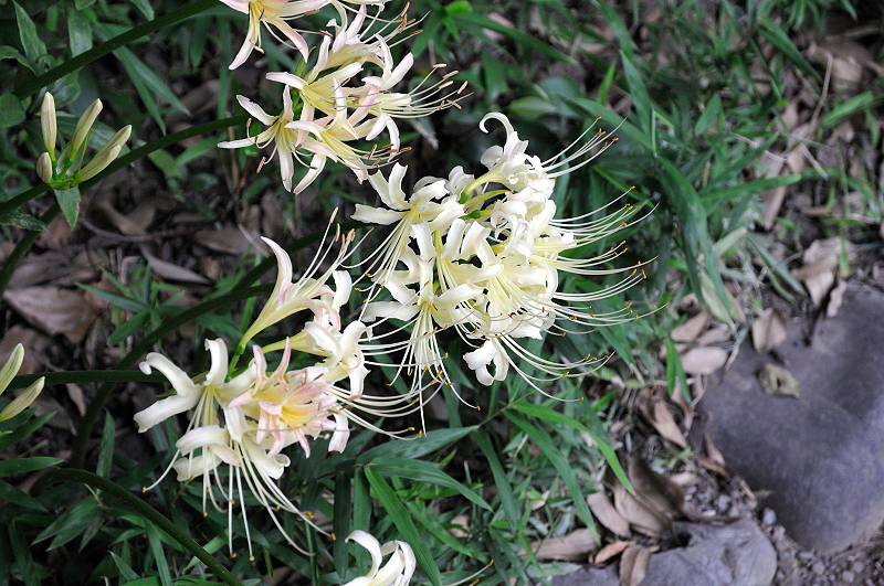 image0112