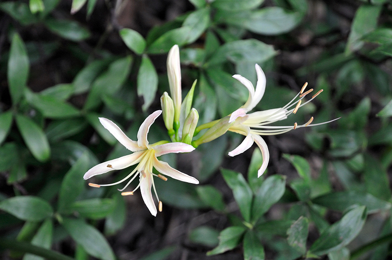image0114