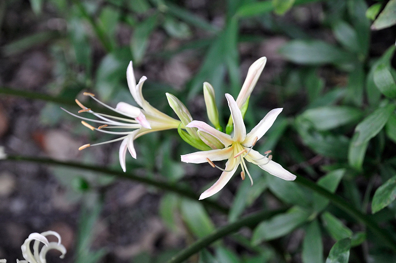 image0119