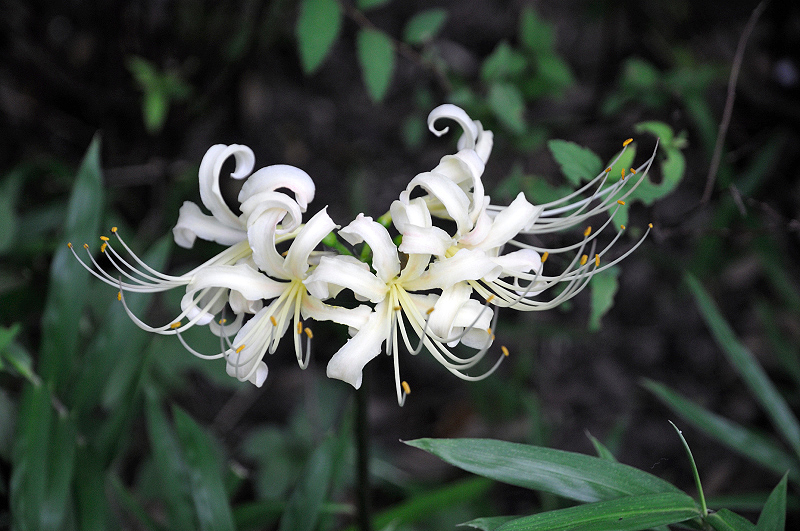 image0120