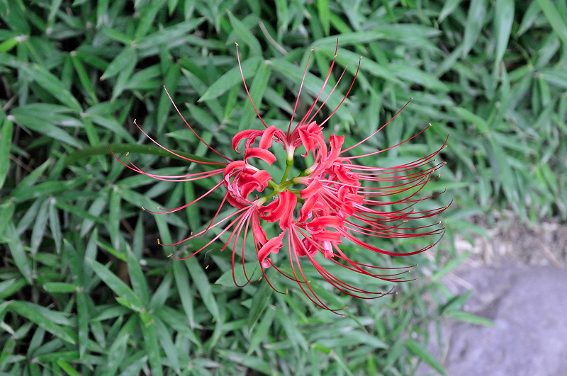 image0123