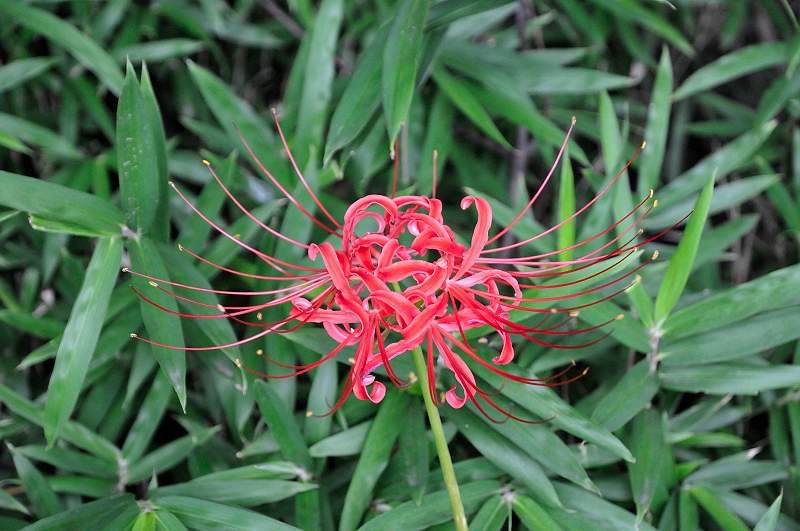 image0124