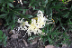 image0113