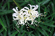 image0122