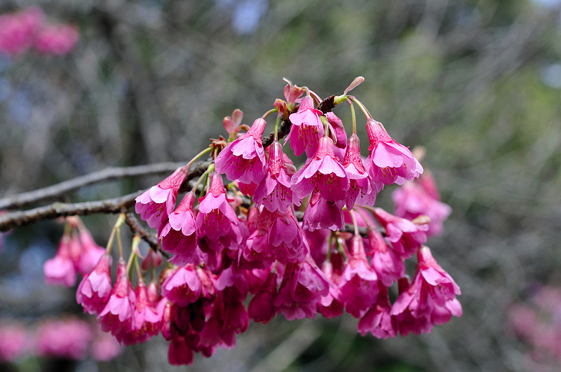 image0104