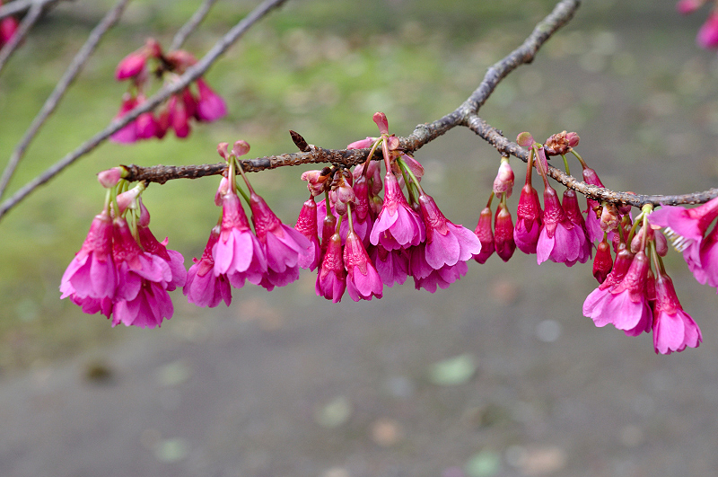 image0107