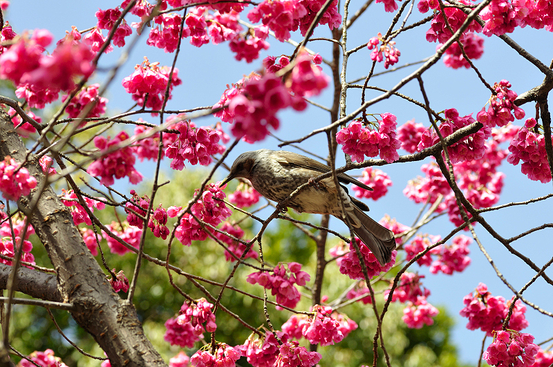 image0140