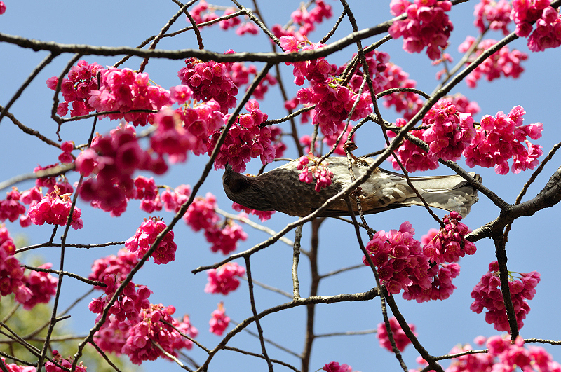 image0143