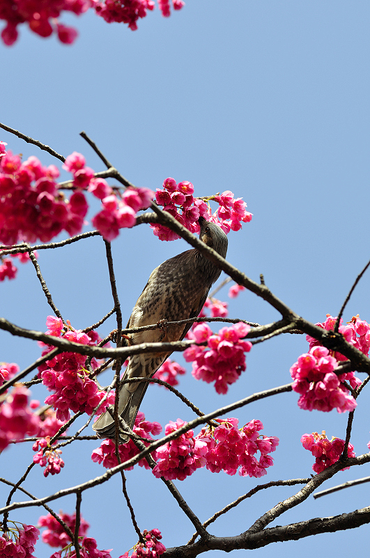 image0145
