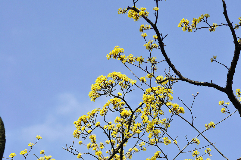 image0157