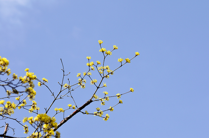 image0166