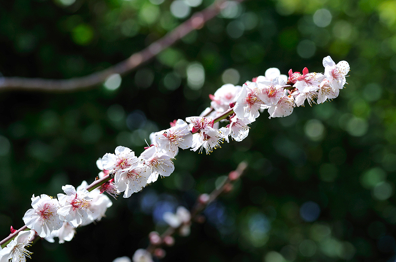 image0170