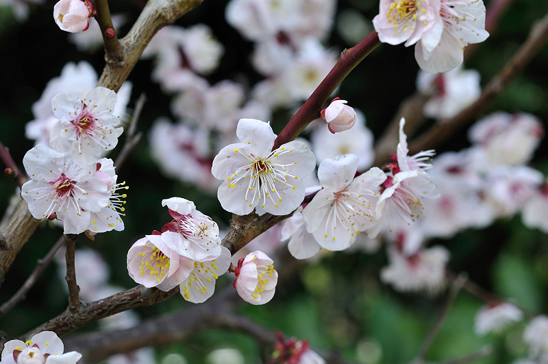image0172
