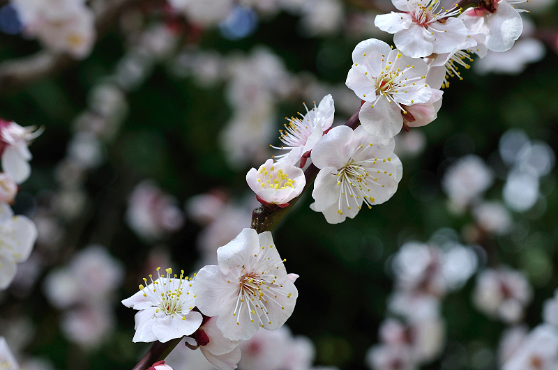 image0177