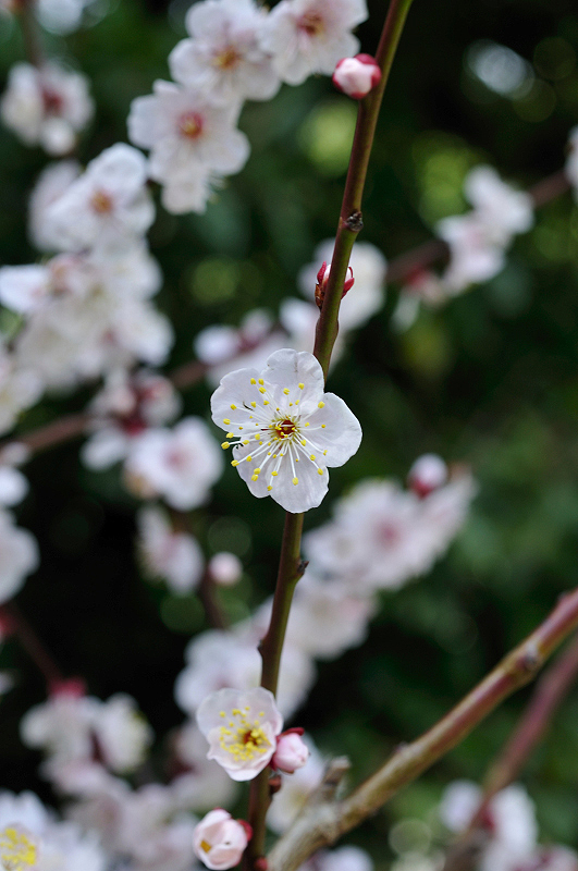 image0179