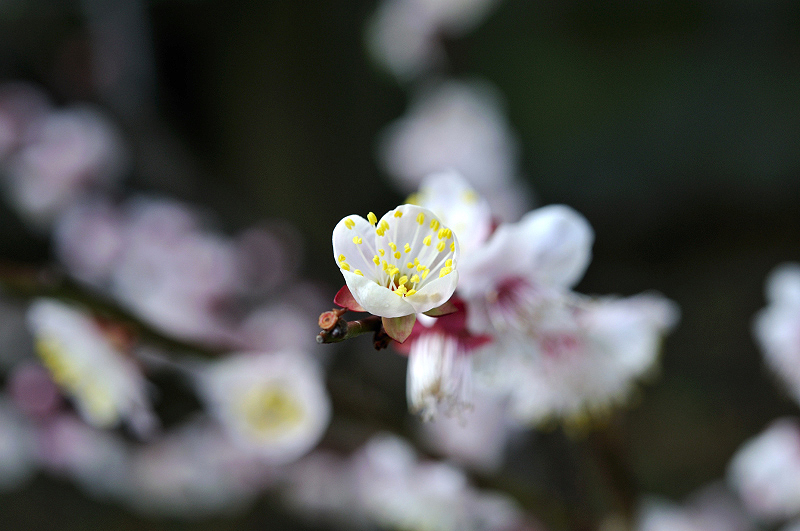 image0181