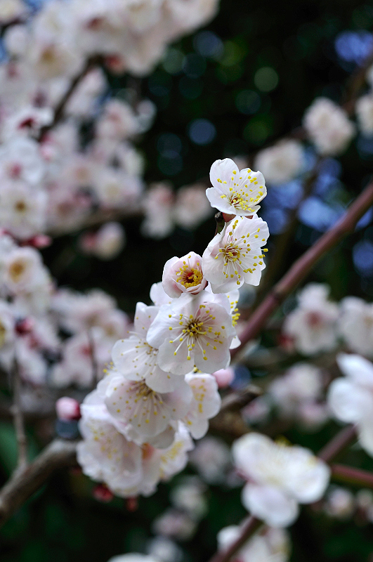 image0188