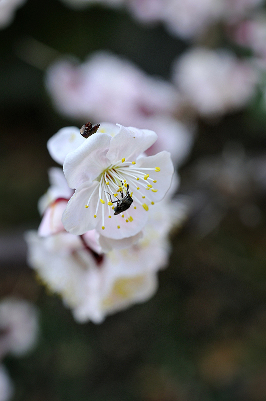 image0189