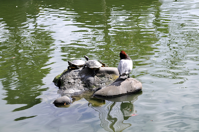image0191