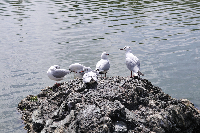 image0193