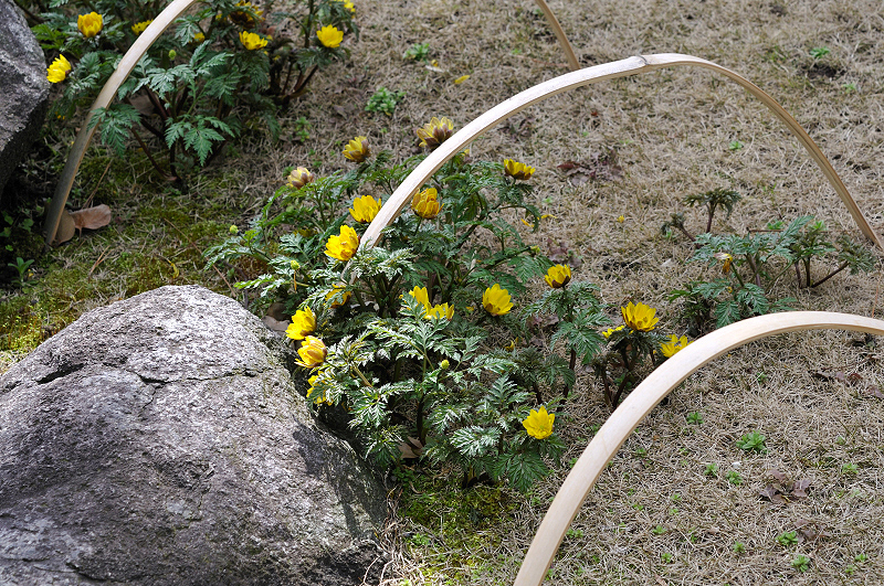 image0196