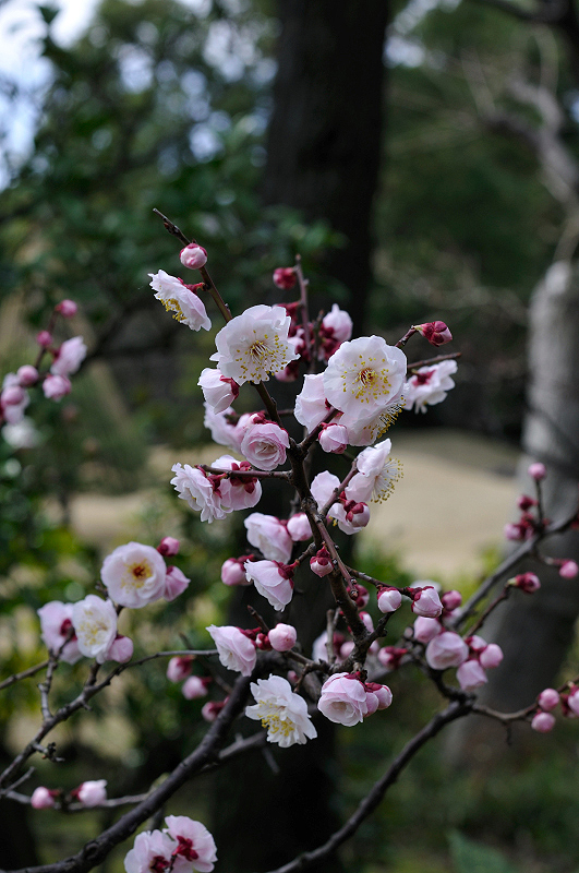 image0197