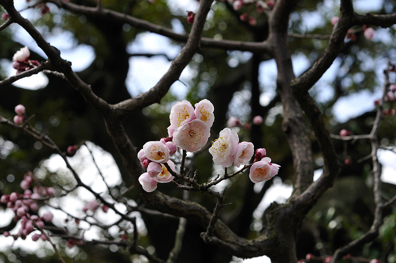 image0200