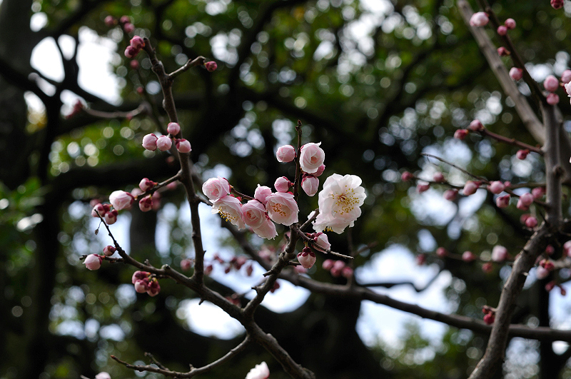 image0201