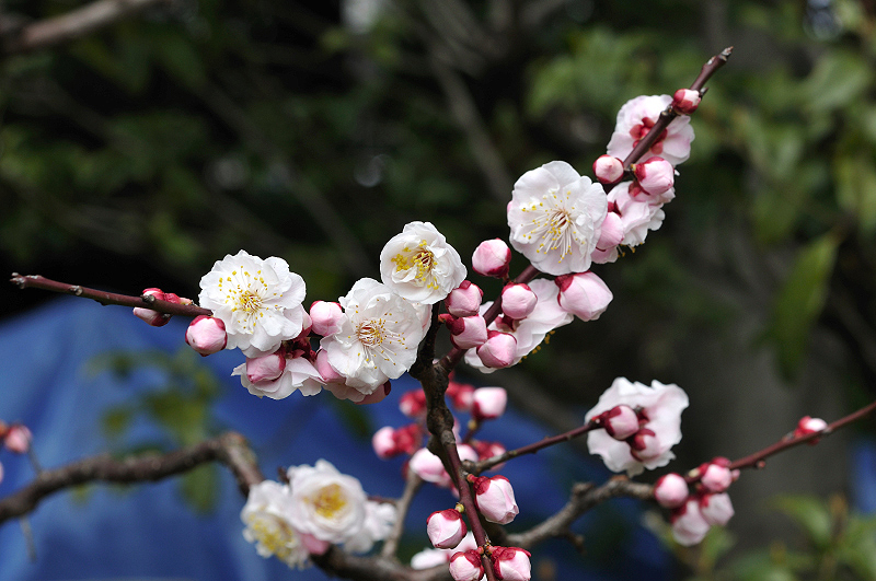 image0202