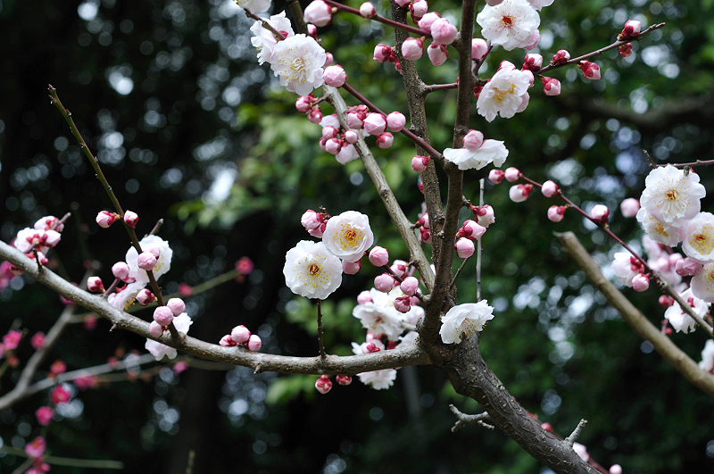image0208