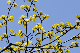 image0160