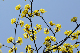 image0163