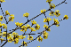 image0164