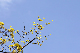 image0166
