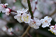 image0171